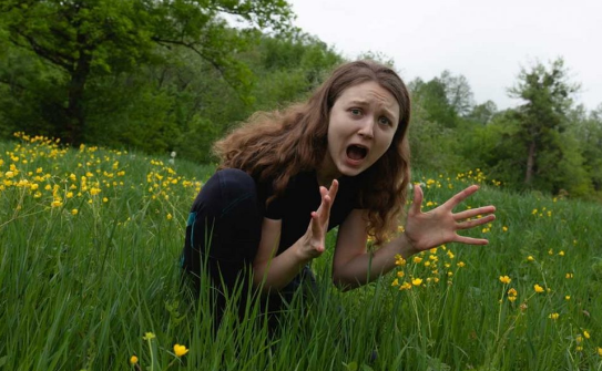In the Meadow of Bravery: Conquering the Phobia of Grass